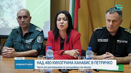 Откриха над 480 килограма канабис в Петричко