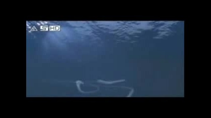 H2o Just Add Water [qko0]