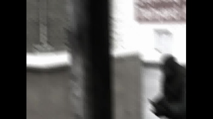 Cs - Getfree