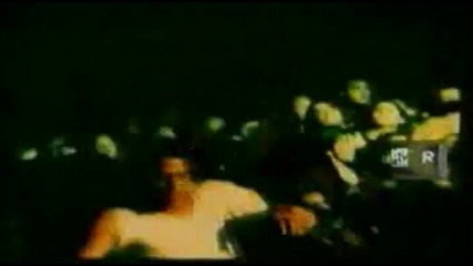 A.n.i.m.a.l. - Loco Pro