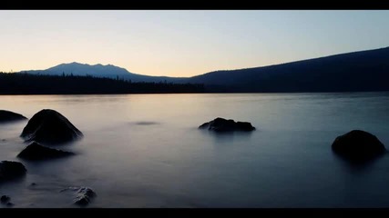 Mutt - I Used To