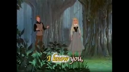Cenerentola - La Fata Smemorina (bibidi Bobidi Bu)