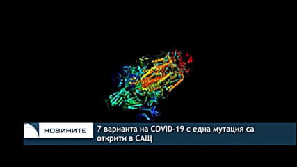 7 варианта на COVID-19 с една мутация са открити в САЩ