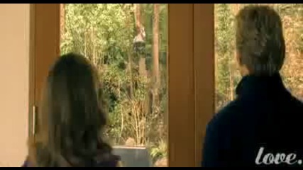 Edward and Bella - Forbidden Love 