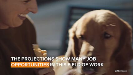 Trending jobs: Would you walk a dog for money?
