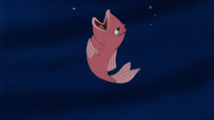 lil mer pro
