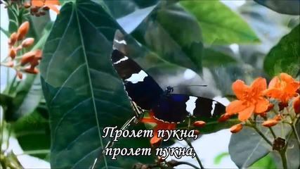 Пролет Пукна, Ние Не - Слави Трифонов и Куку Бенд