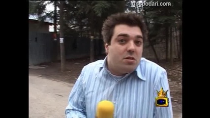 Кучета 1