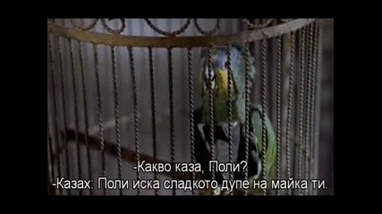 Papagala ot Scary Movie 2