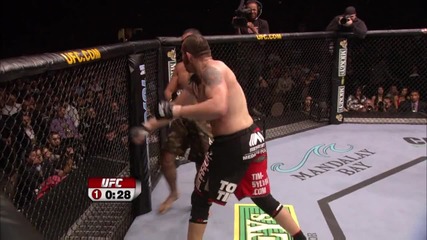 Ufc tym Sylvia vs. Minotauro Nogueira