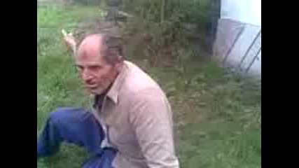 Daskala piqn rujevo 1
