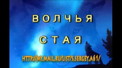 Волк - Стая.mp4