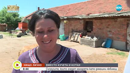 Видео - (2023-09-09 09:18:58)