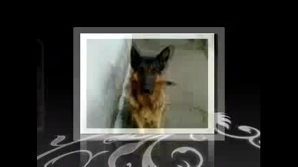 nai dobriq mi priqtel Rip ; (; (; (