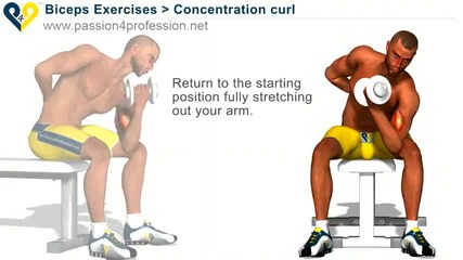 Biceps Exercises 