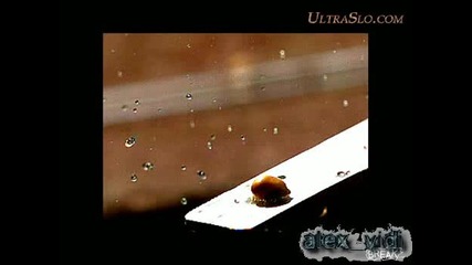 Time Warp - Popcorn in Super Slow