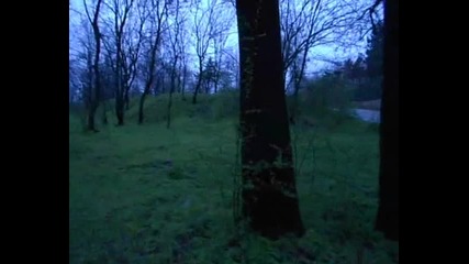 v edin prekrasen den - Rumpi