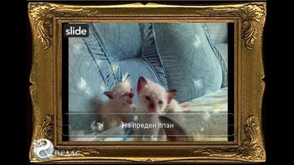 Малката Принцеска