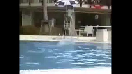 Яка Компилациа От Смешни Падания