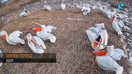 Ледено студено начало на седмицата
