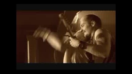 Kultur Shock Horse Thief