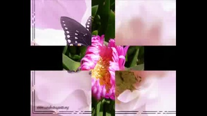 Beaute De La Nature