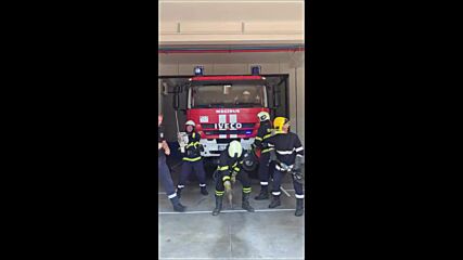 Пожарникари поздравиха с клип 8-годишно момиченце