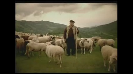 Реклама на наденица балканска скара Leki -овчар