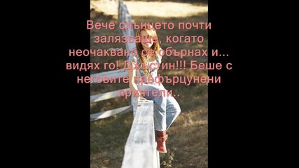 Dream For Love ( , , Мечтай за любовта ) - 2 епизод 