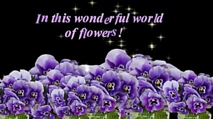 В прекрасния свят на цветята! ... ...