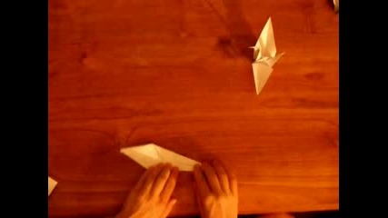 The Crane Origami