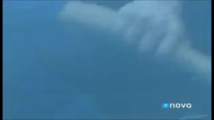 Triunfo del amor - capitulo 88