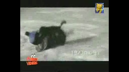 Смешно и забавно 