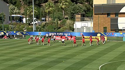 Защитник на Унгария аут от UEFA EURO 2016
