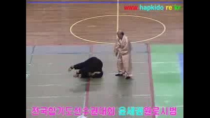 Hapkido Master - Selfdefense 