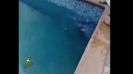Как арабите , учат децата си да плуват 