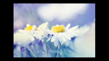 Превод - Ankhagram - Don't Let Me Go Away