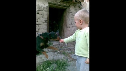 клипче - Стефи 