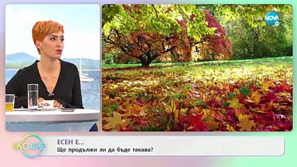 Есен е ... Ще продължи ли да бъде такава? - „На кафе” (09.11.2021)