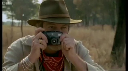 The dangers of filming rhinos - Wild and Dangerous - Bbc 