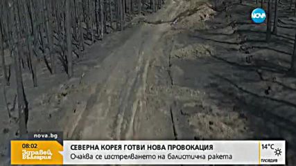 Искат най-тежката мярка за подпалвача в Кресна