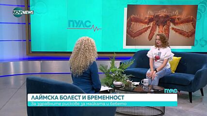 Лаймската болест: Какви рискове за здравето крият кърлежите