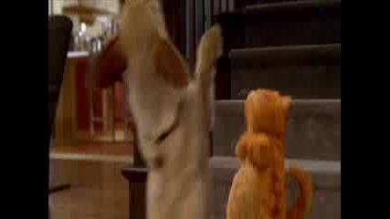 Garfield - Chae Shukarie - Кючек