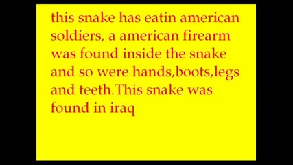 Змия открита в Ирак
