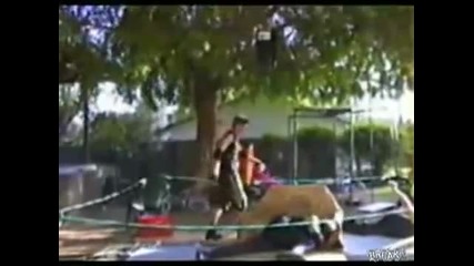 Backyard Wrestling Guys Get Hit By Ladder 