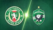Ботев Враца - Лудогорец 0:1 /репортаж/