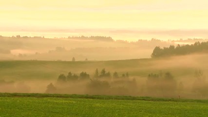 10 minutes orchestra music healing your mind