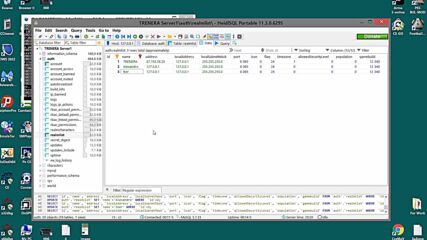 Heidisql (11.3)