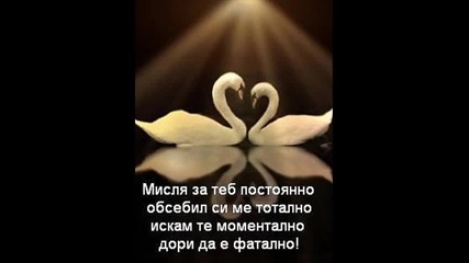 или и джани 2010