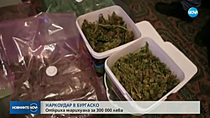 Откриха марихуана за 300 000 лв. при акция в Бургаско